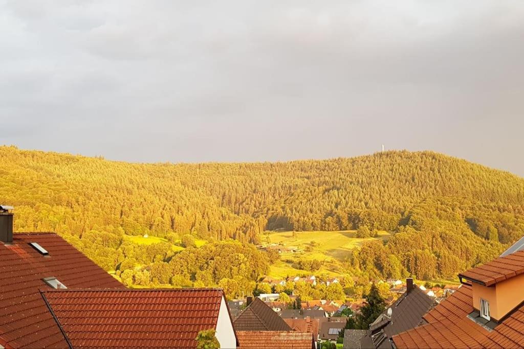 Ferienwohnung Talblick Im Schwarzwald Зеелбах Екстериор снимка