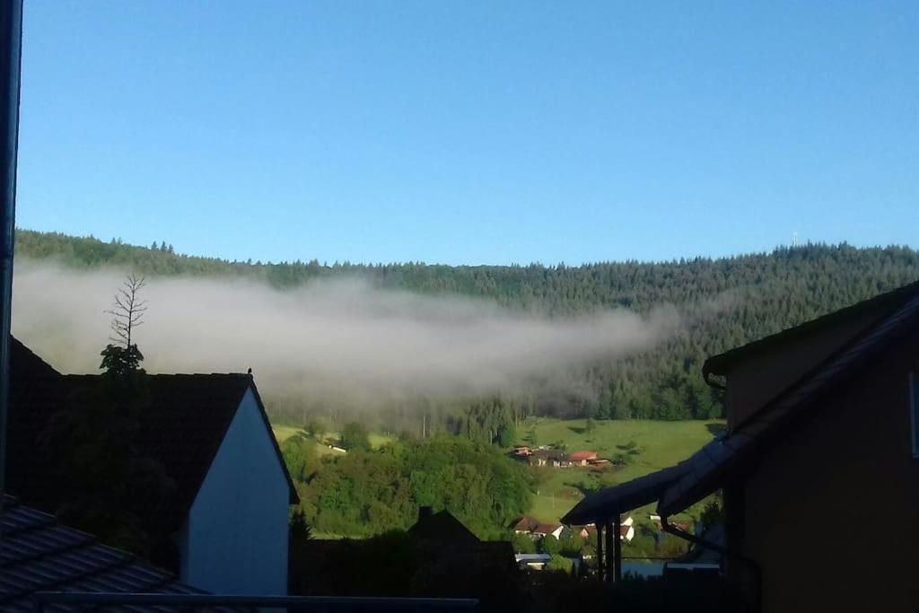 Ferienwohnung Talblick Im Schwarzwald Зеелбах Екстериор снимка