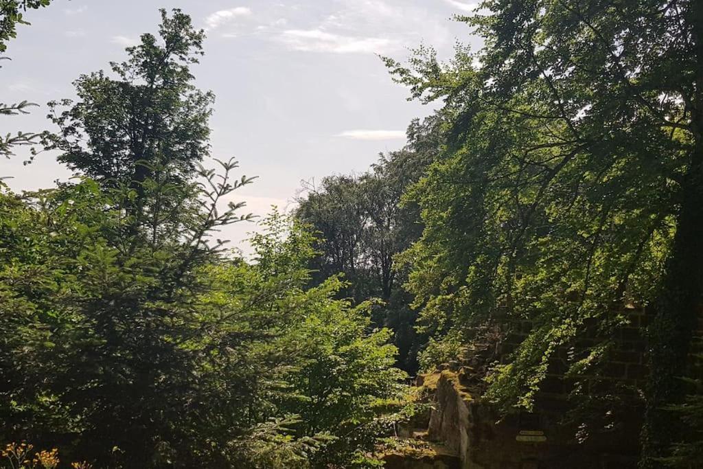 Ferienwohnung Talblick Im Schwarzwald Зеелбах Екстериор снимка