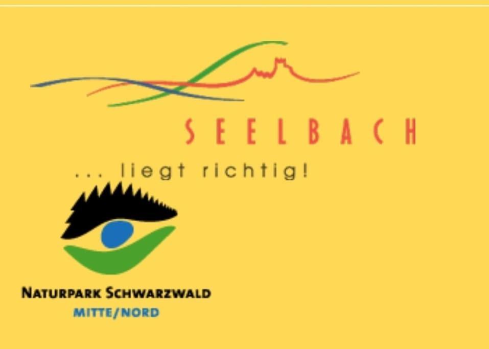 Ferienwohnung Talblick Im Schwarzwald Зеелбах Екстериор снимка