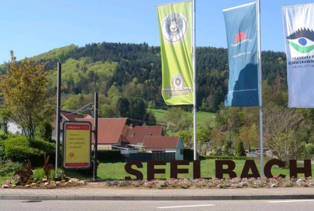 Ferienwohnung Talblick Im Schwarzwald Зеелбах Екстериор снимка
