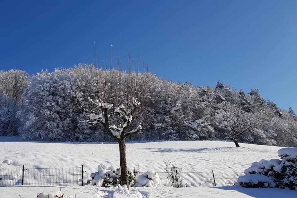 Ferienwohnung Talblick Im Schwarzwald Зеелбах Екстериор снимка