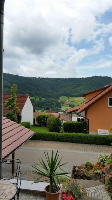 Ferienwohnung Talblick Im Schwarzwald Зеелбах Екстериор снимка