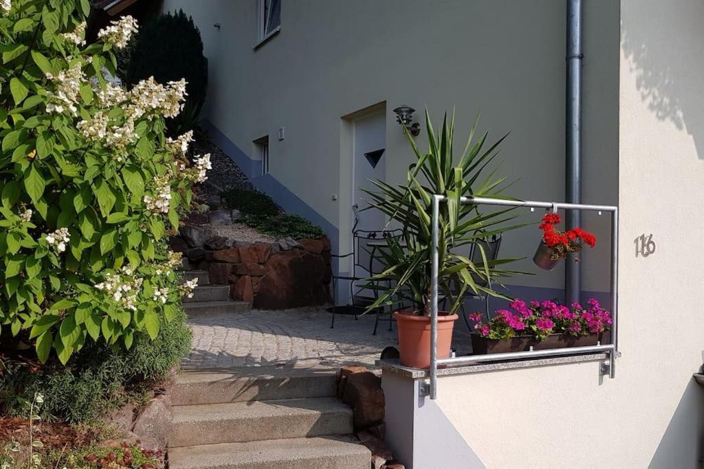 Ferienwohnung Talblick Im Schwarzwald Зеелбах Екстериор снимка